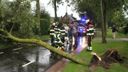 Ga naar slide 7
