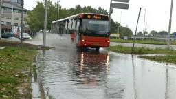 Ga naar slide 1