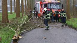 Ga naar slide 1