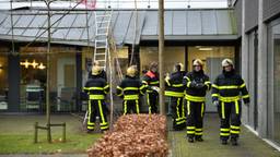 Ga naar slide 8