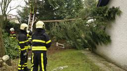 Ga naar slide 6