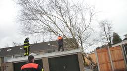 Ga naar slide 1