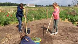 Ga naar slide 2