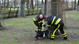 Ga naar slide 1