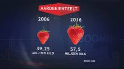 Ga naar slide 3