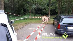 Ga naar slide 2