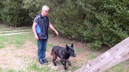 Peter van Oorschot tijdens een training met zijn hond Shadow.