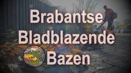 Ga naar slide 2