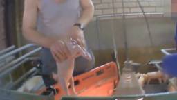 Ga naar slide 1