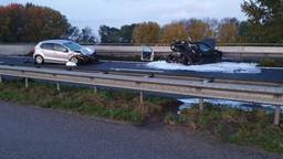 nieuws gerelateerd aan a17 omroep brabant