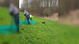 Ga naar slide 3
