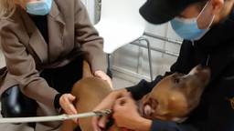 Ga naar slide 2