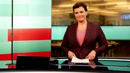 nieuws gerelateerd aan televisie omroep brabant