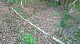 Ga naar slide 1