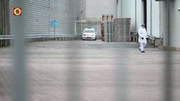 WEB_OVERLIJDEN_STIER.Copy.01.Copy.01.transfer