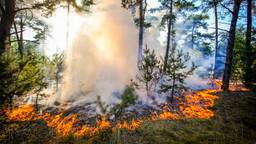 Flinke brand in natuurgebied in Waalre
