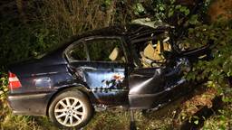 Auto botst tegen boom, bestuurder zwaargewond naar ziekenhuis