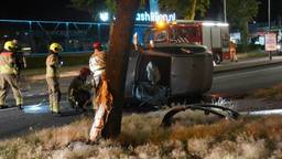 Auto botst op boom in de Europalaan in Rijen, bestuurder naar ziekenhuis gebracht