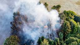 Brand in bosgebied net buiten Tilburg