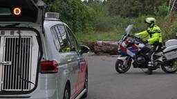 Politieactie