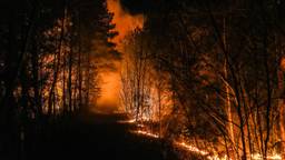 Harde wind speelt brandweer parten bij bestrijden zeer grote natuurbrand