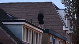 Man van dak in Tilburg gehaald