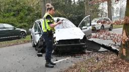 Auto botst op boom