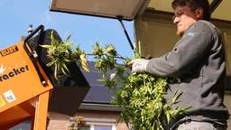 Hennepkwekerij met ruim 1000 planten ontdekt, bewoner aangehouden