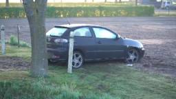 Auto raakt van de weg in Reek