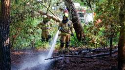 Weer natuurbrand, brandweer moet aan de slag in bosgebied in Zeeland