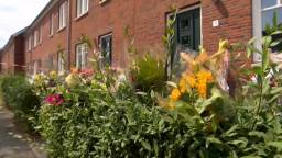 Bloemenzee bij huis van vrouw die door geweld om het leven kwam