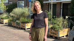 Auto driehonderd meter verderop parkeren: 'Nu meer groen in de straat'