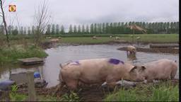 Ga naar slide 2