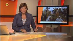 Ga naar slide 1