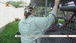 Ga naar slide 1
