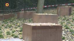 Ga naar slide 1