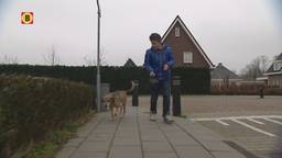 Ga naar slide 1