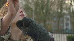 Ga naar slide 1
