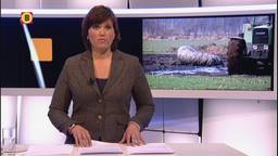 Ga naar slide 1