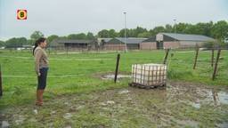 Ga naar slide 2
