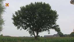 Ga naar slide 2