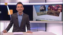 Ga naar slide 2