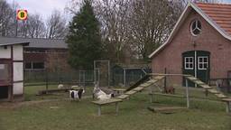 Ga naar slide 1