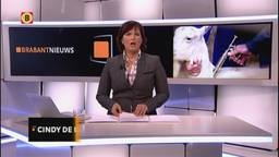 Ga naar slide 2