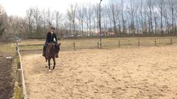 Ga naar slide 1