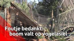 Ga naar slide 1