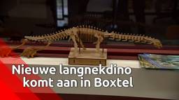 Tweede skelet van een langnekdino uit de Verenigde Staten aangekomen bij Oertijdmuseum