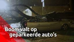 Ga naar slide 3