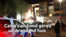 Ga naar slide 1