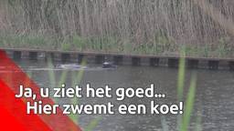 Ga naar slide 1